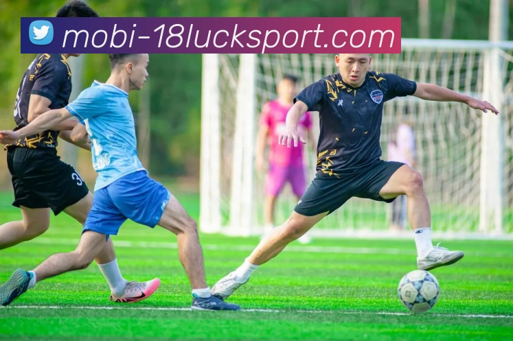 18新利体育平台生态图